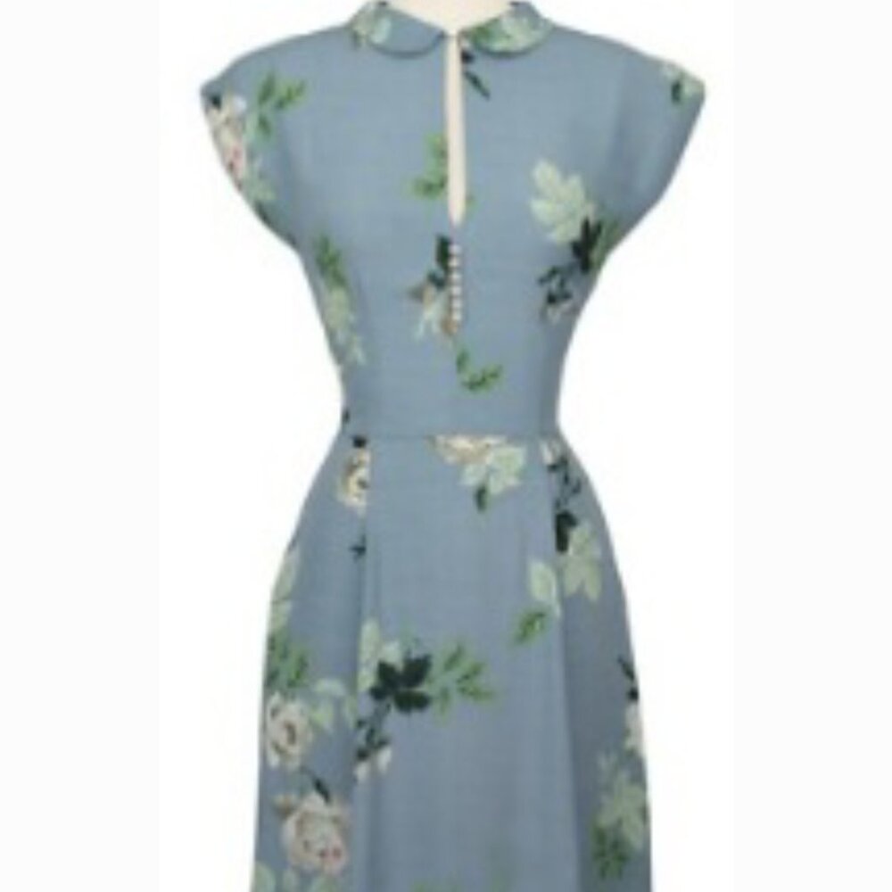 Trashy Diva French blue roses tea dress NWT